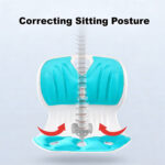 ⁦مسند ظهرمتنقل, لآلام فقرات الظهر⁩ - الصورة ⁦3⁩